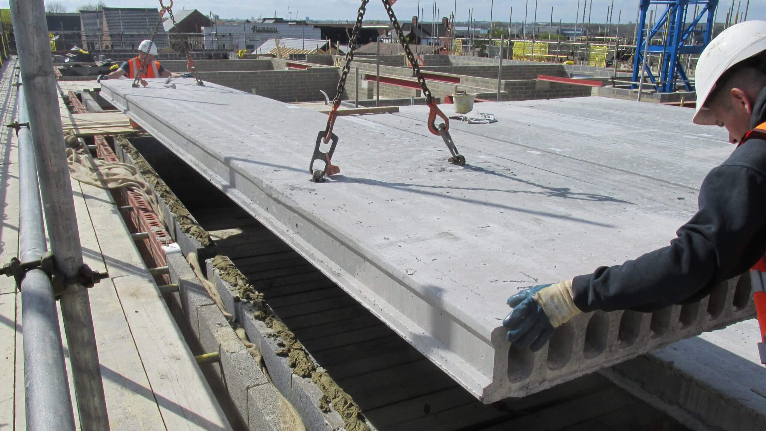 هالوکور چیست ؟ خرید هالوکور از ایران تیرچه